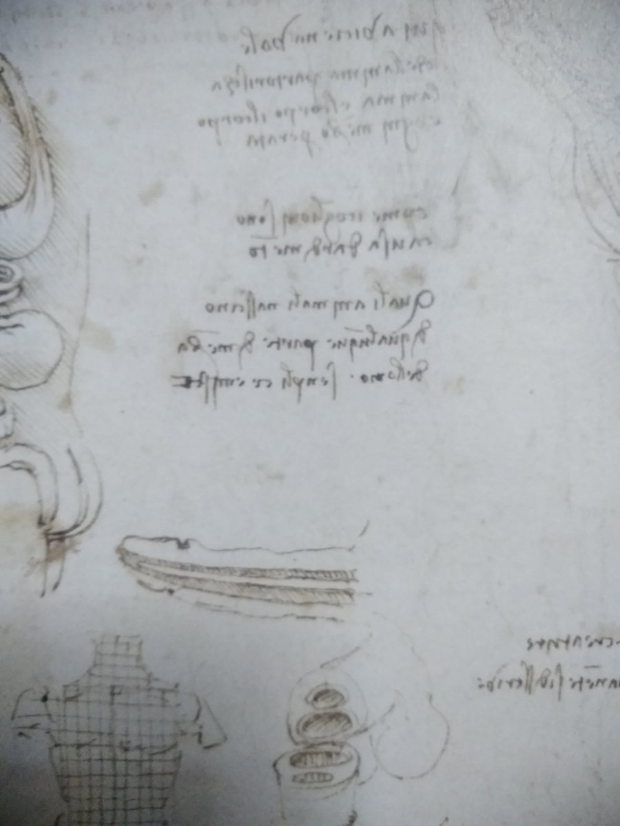 Tats Yamada No Twitter レオナルド ダ ヴィンチの 解剖手稿a に性交を行う男女の縦割り図があるが 伝統的に男性器には魂を運ぶ二本目の管があると信じられていて それを描いている