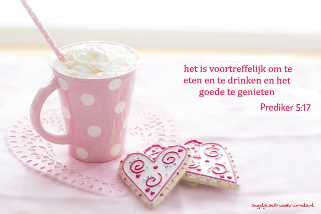 dglksbrdkrmls's tweet image. Prediker 5:17 #Goedheid - dagelijksebroodkruimels.nl/prediker-5-17/