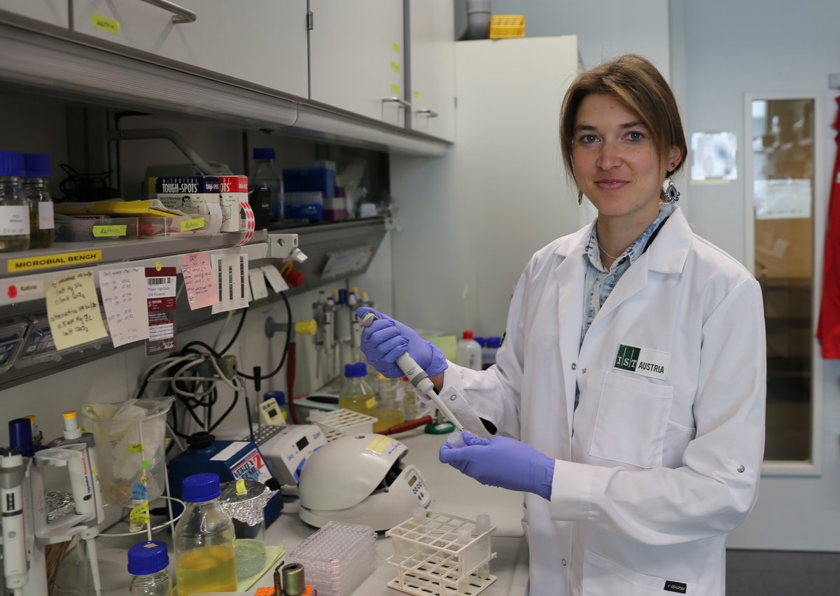 ISTAustria's tweet image. Can you evolve while being robust? | Biophysical constraints on #evolvability and #robustness uncovered | Study by IST Austria researchers published in Nature Ecology and Evolution goo.gl/24NKos