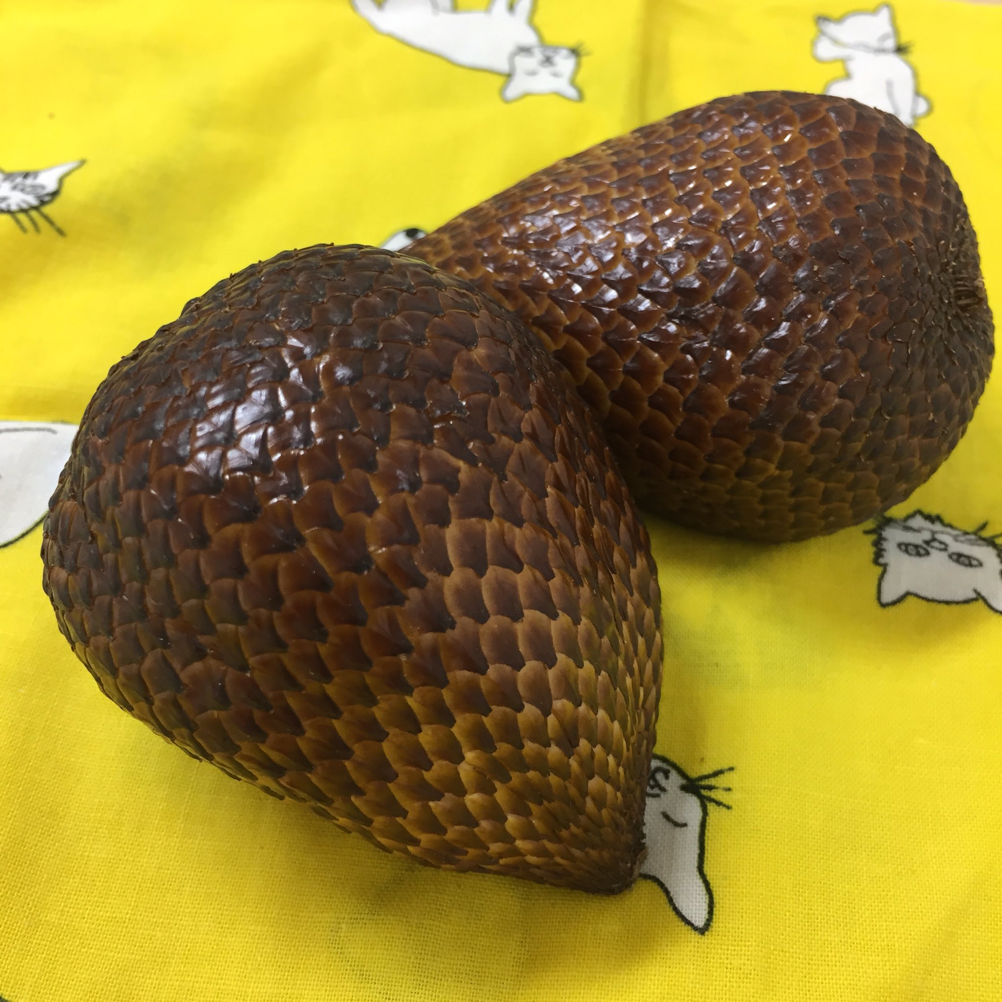 スネークフルーツ Twitter Search Twitter