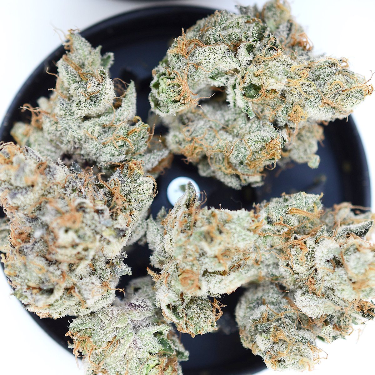 Well, we gonna roll ours like this...