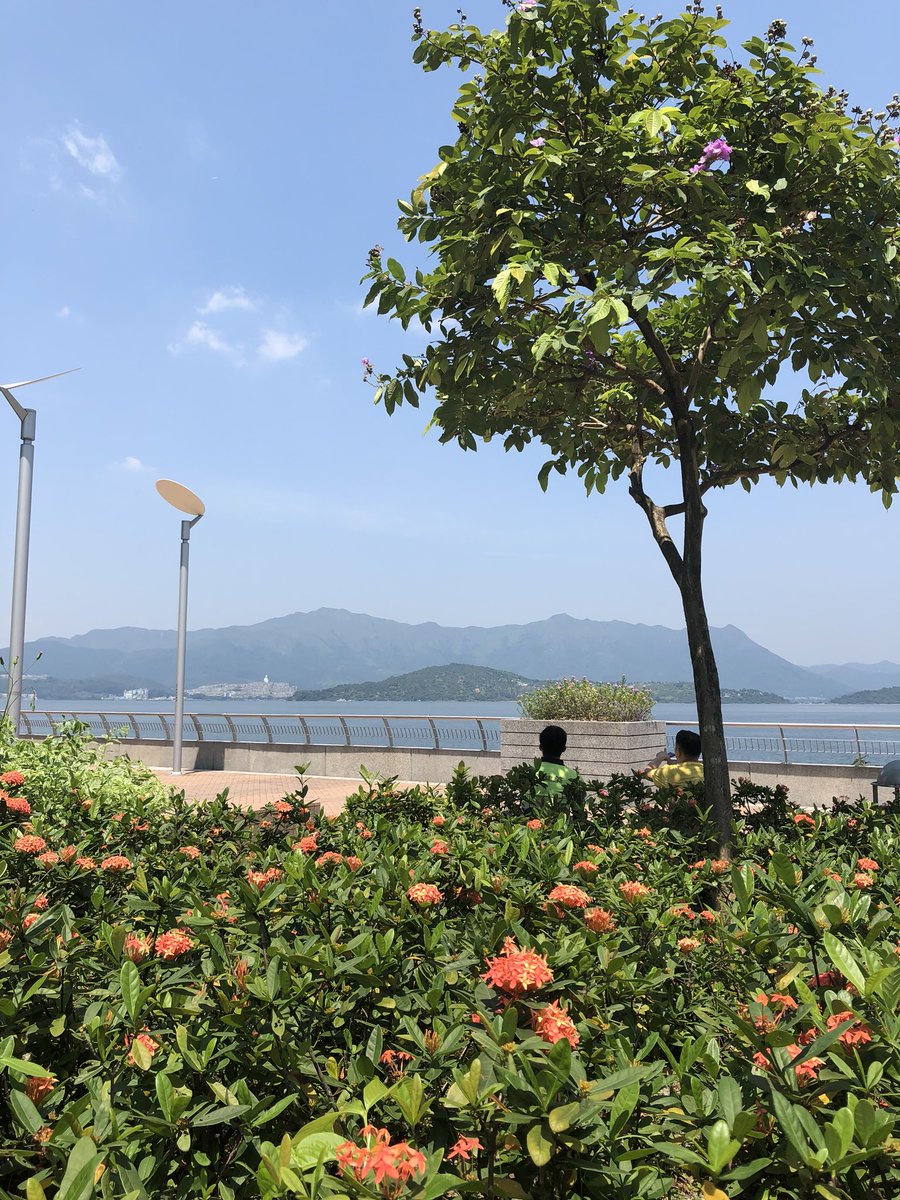Working at Hong Kong Science and Technology Park today! #Innovation #HKSTP #CoCreation #OneHitachi #Sunshine #BlueSky #SeaView #HappyGirl #LifeAtHitachiVantara