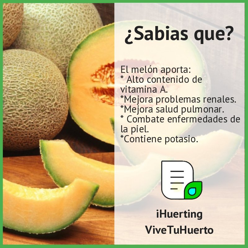 iHuerting's tweet photo. Sabias que el melón... https://t.co/ByQcRzrxaB #iHuerting #vivetuhuerto https://t.co/UJrpK8KKm6