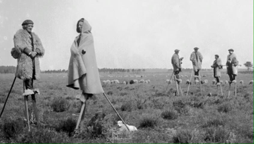 DrSueOosthuizen's tweet image. #Lostlamdscapes: Félix Arnaudin's atmospheric late 19thC photograph of Gascon #shepherds on their stilts in the #marshy pastures of Les Landes, SW of Bordeaux - now drained (photo via wiki; more on Arnaudin via bordographe.com/2015/05/18/fel…)