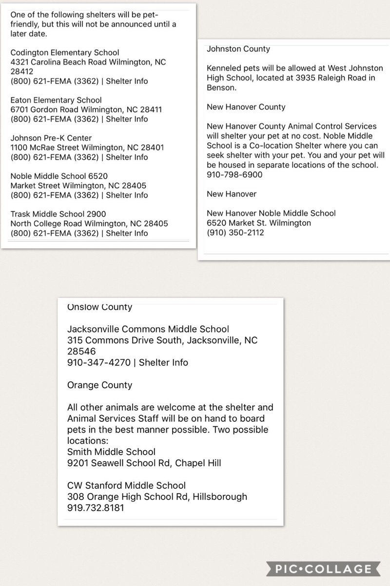 #northcarolina #petfriendly #florence