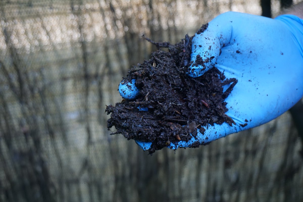 ReciclaAsPontes's tweet photo. 🌱🐛🐛 SEMENTES INFORMATIVAS 🐛🐛🌱

Estanse a realizar as derradeiras visitas ás vivendas composteiras do programa socio-ambiental #CompostDaCasa impulsado polo Concello de @AsPontes e @EASogama 

Agora toca analizar as mostras recollidas 😁☺️

https://t.co/Q1C5rgz7Kd https://t.co/wi5azhCVOF
