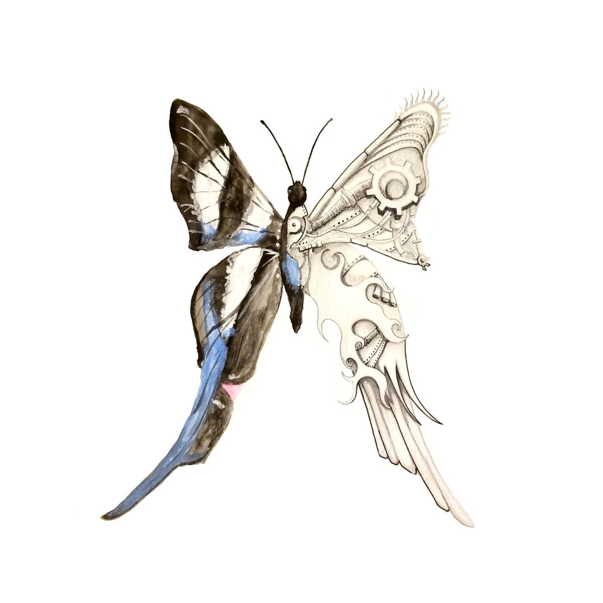 長澤翼 Tsubasa Nagasawa على تويتر 一文字脱線 近いうちに綺麗な自然もテクノロジーで代替されるのでしょう 面白すぎる 蝶 Art イラスト Design ボールペン 絵具