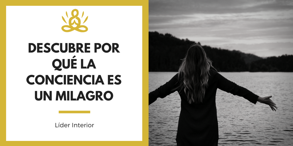 liderinterior's tweet photo. Conoce todo lo que te aporta invertir en tu conciencia #tips #bienestar #conciencia https://t.co/OPgHVJkcmH https://t.co/jsp89Z7TLs