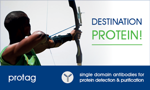 Progen_Biotech's tweet image. Single-Domain Antibodies for Advanced Protein Research! - mailchi.mp/progen/protag-…