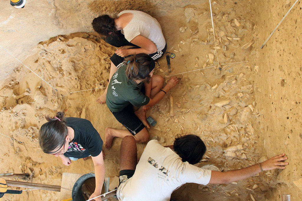 Totem Info tweet media