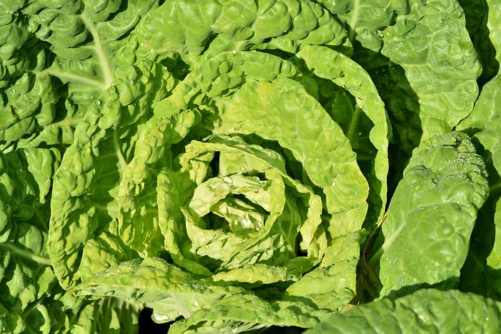 The Start Farming Initiative tweet media