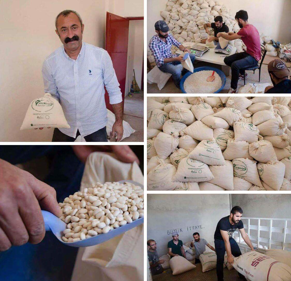 Bürgermeister d Ortschaft Ovacık in Dersim Fatih Maçoğlu packt selber bei der Ernte an. Es gibt Bio-Bohnen, Bio-Erbsen &amp; Bio-Honig. Einnahmen werden genutzt, um jungen Menschen Studium zu ermöglichen. 

Maçoğlu ist einziger Bürgermeister der Türkei von der Kommunistischen Partei.