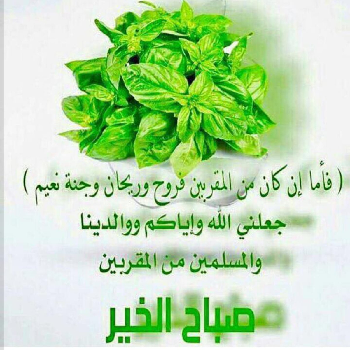 basilashraf908's tweet photo. @NancyAjram https://t.co/l6GIHBlJDn