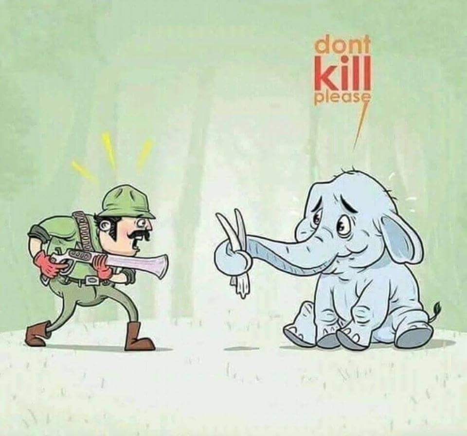 Sudmandlecha's tweet image. #saveanimal #saveecosystem