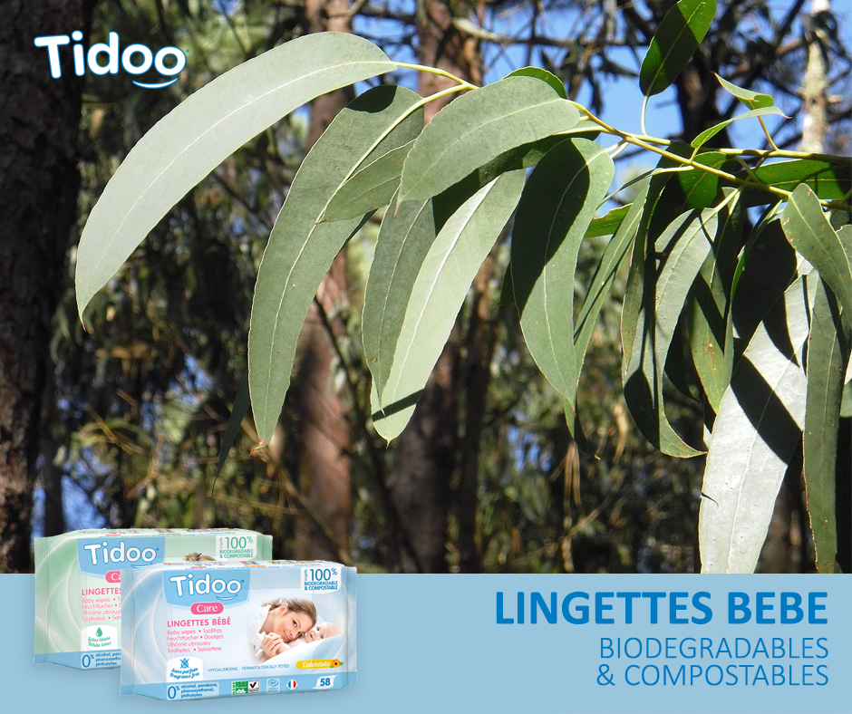 Savez-vous ce qui distingue les lingettes Tidoo des autres lingettes ? C'est sa compostabilité : comme les épluchures de légumes elle peut se mettre dans le composte et se transformer en fertilisant naturel !
En savoir + : bit.ly/2ia6AB8