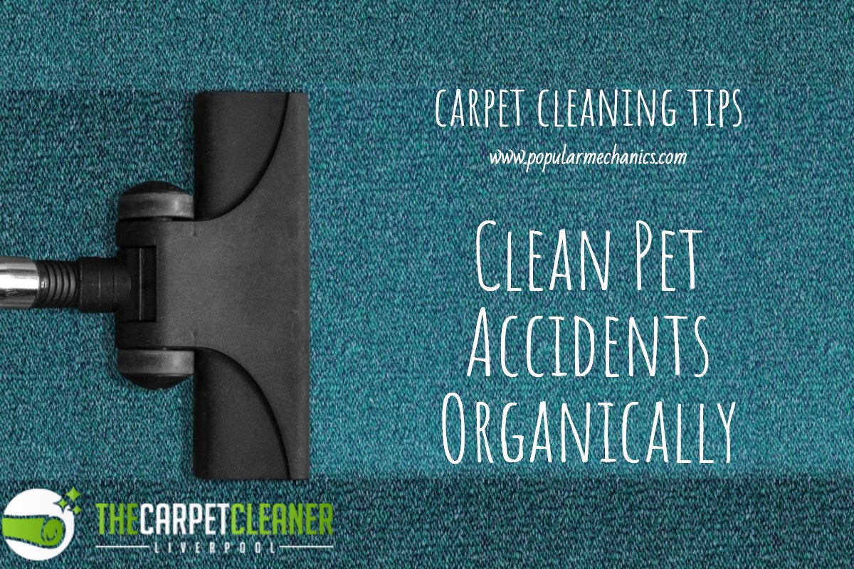 The Carpet Cleaner Liverpool (CarpetLiverpool) Twitter