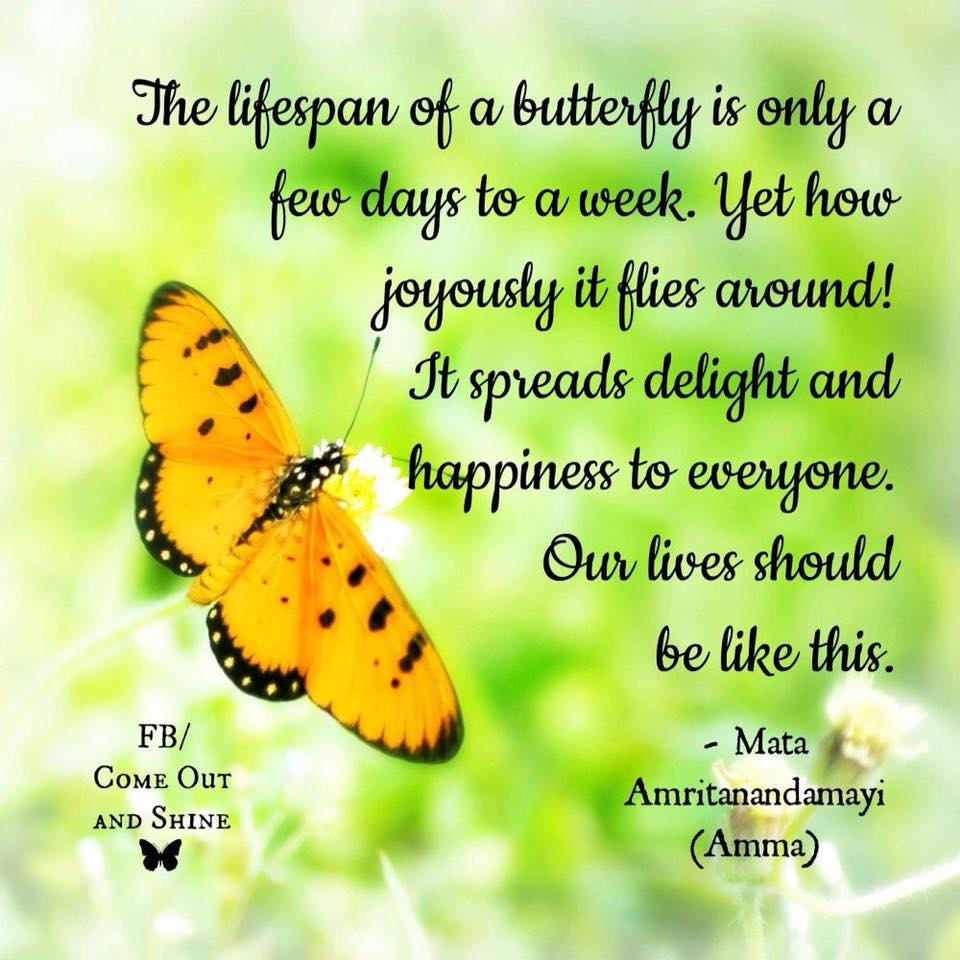 #JESS #RoarForJess <a href="/RoarForJess/">Help Jess Beat Boris</a> may the butterflies and fairies rise up to greet you at the #rainbow bridge. Thank you for sharing your courage and smile. We will never forget you #ForeverChangedCampaign salutes you, brave #ForeverChanged #warrior #cancer 10 years old...