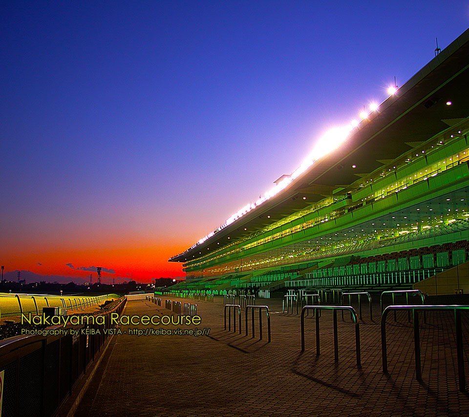 ダート データ Twitter પર 競馬vista 競馬待受画像 壁紙 さん 門別 中山 東京競馬場の写真です 現役 引退競走馬の写真も提供されています ４枚目はキタサンブラック 綺麗な写真が沢山ありますので 是非 T Co 9va4bwnh18 T Co