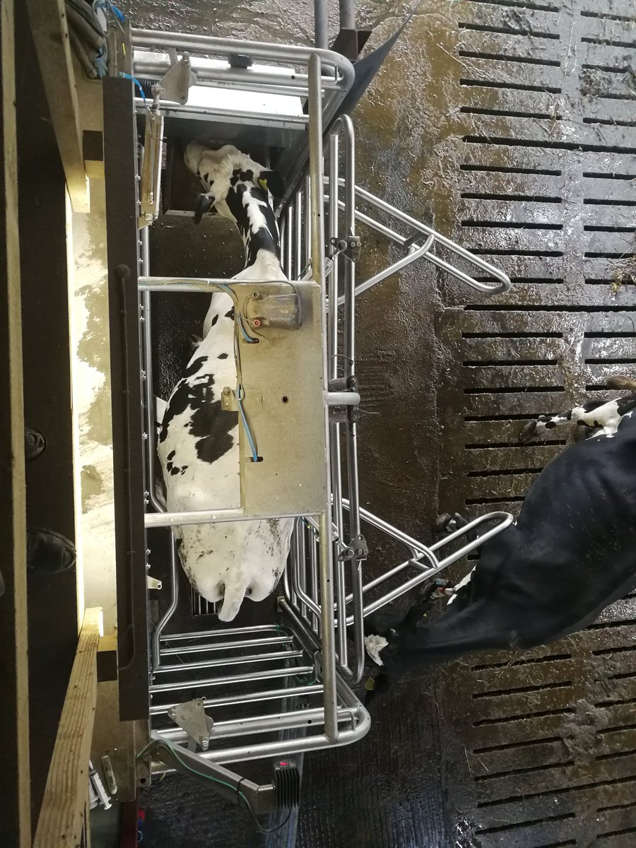 jamesholdingeng's tweet image. Always nice to see &quot;older&quot; sites now and again😁 #happycows #Dairy #m2erlin #RoboticRevolution