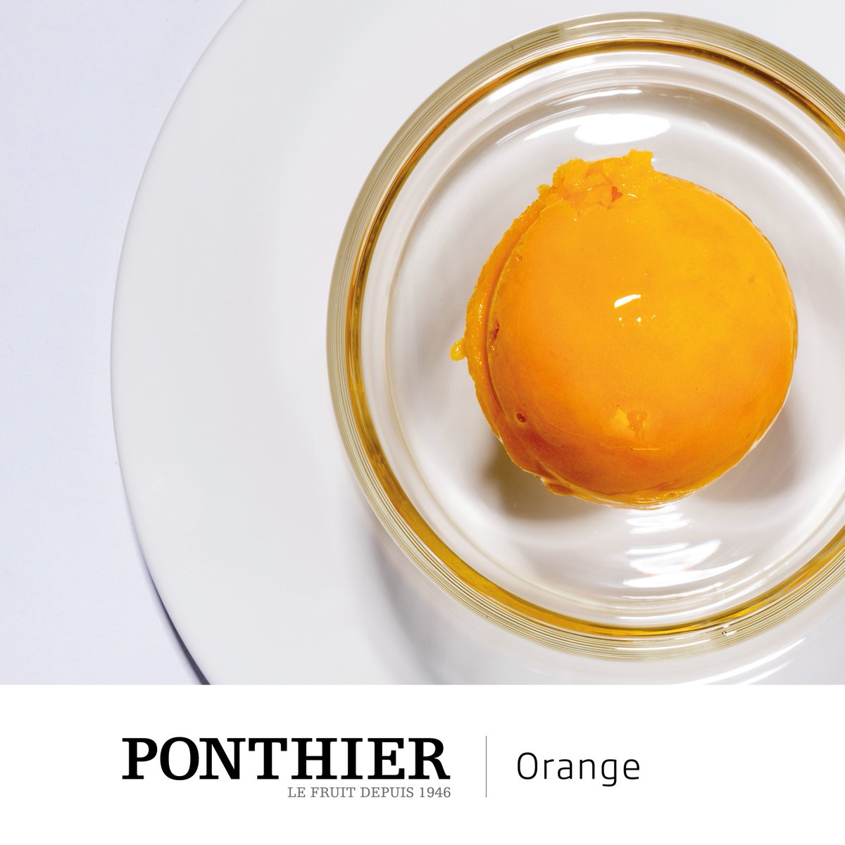 A simple and refreshing Valencia orange sorbet at the beginning of the month! Photo ©Eric Roger.
#ponthier #fruit #puree #orange #valencia