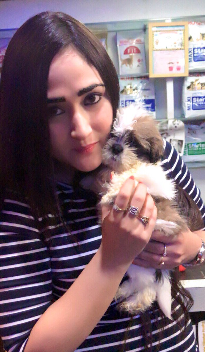 Introducing my Wild child -Shiro Sajwan,, brother of Olive oyl ,, beloved , innocent,, mischievious and so very cute #pawpaw #shirothehero #shirosajwan #petworld