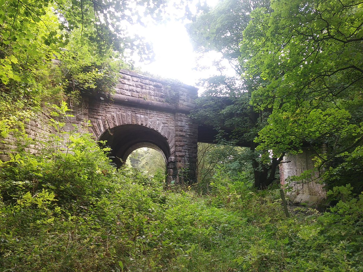 RAeliusVictor's tweet photo. sometimes with #RailwayPaths you don't see everything!
#outforawalk https://t.co/fJCePyhTe7