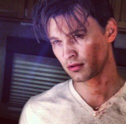 deviaims's tweet image. which Bryan are you today?