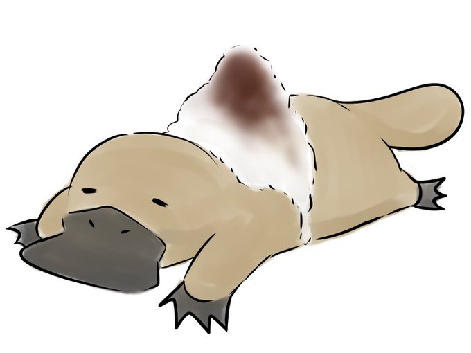 かものはしのtwitterイラスト検索結果 古い順