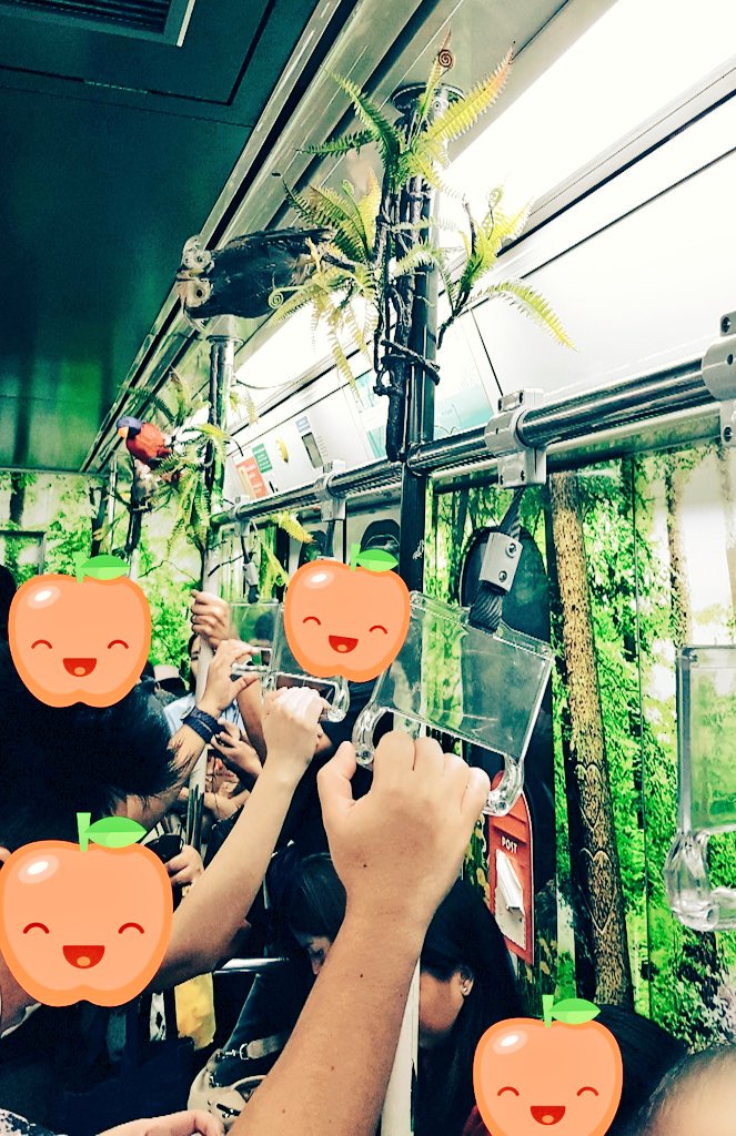 RonChua684's tweet photo. May pa-forest naman ngayon si mayor ππ #lrtseries #ibadin https://t.co/ZLiLkswYxb