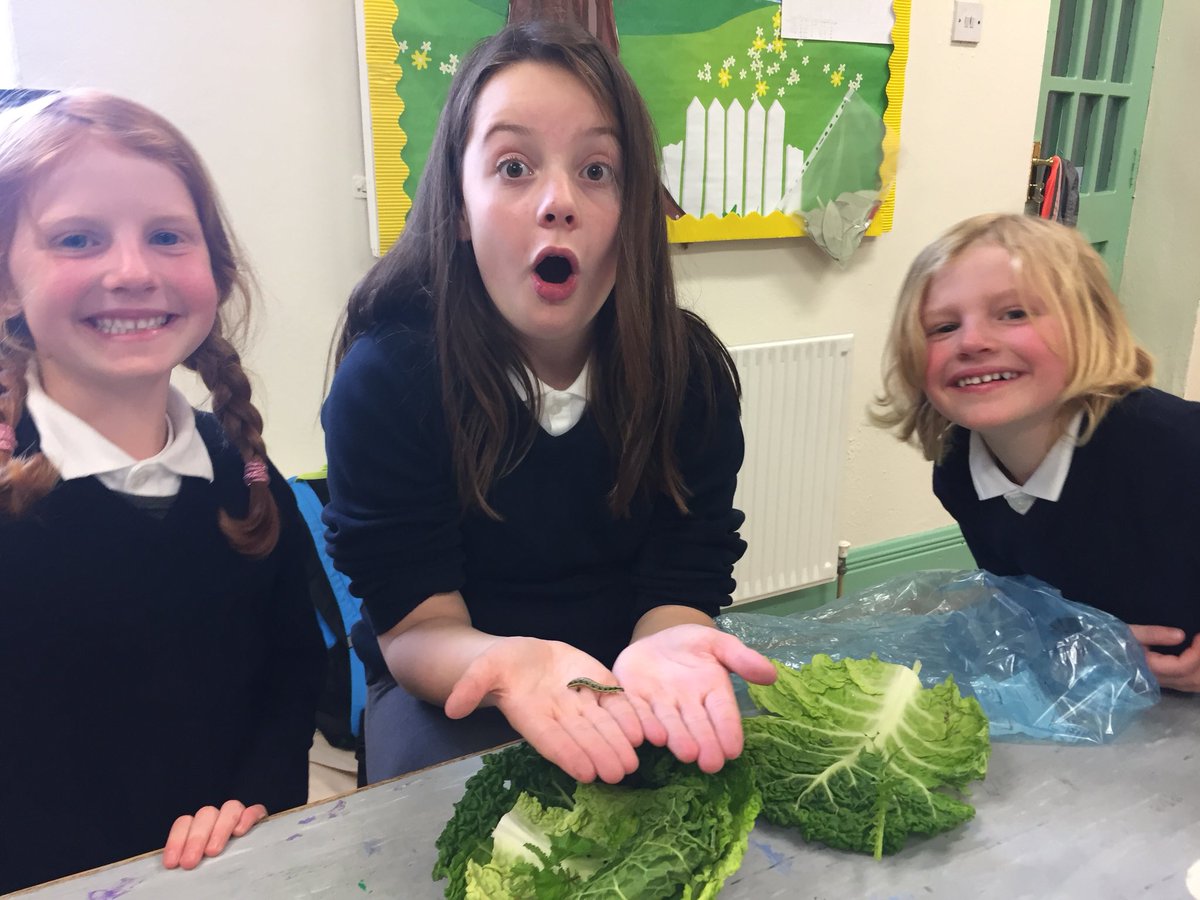 St. Columba's N.S. tweet media