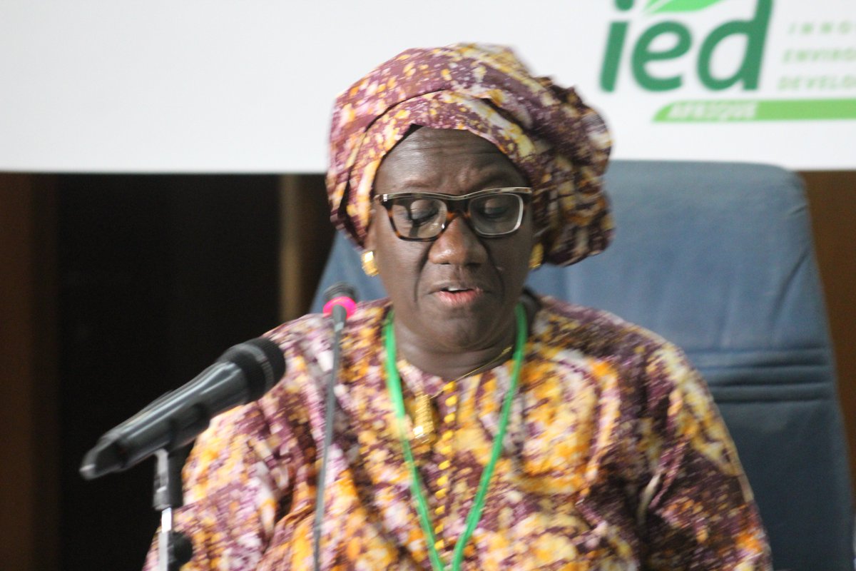 IED Afrique tweet media