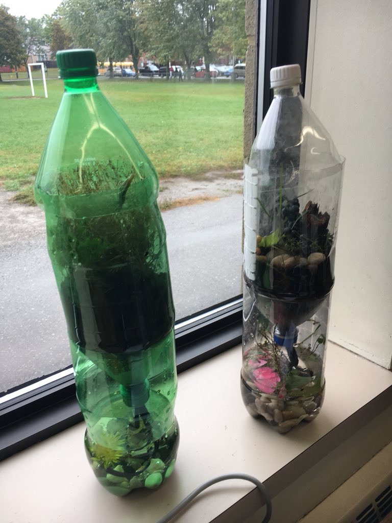 MrsKBoughner's tweet photo. Built our pop bottle ecosystems today! Will be making observations over the next week about the interaction between biotic and abiotic elements 🍃 @GEDSB https://t.co/Lcv66JMRfz