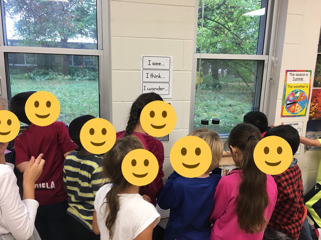 mrs_scott_1's tweet image. Students gathered at the wonder window, watching the landscapers cut back some tree branches in the courtyard. This generated lots of questions! “What tools are they using?” “Are they hurting the trees?” “Why are they wearing ear protectors?” I love their curiosity! #inquiry