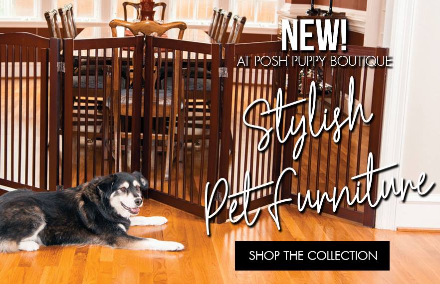 PoshPuppy's tweet image. Stylish decor for you and your pup!

Shop @ bit.ly/2NE7UMB for all your doggie furniture needs 😀

#poshpuppy #decorfun #stylishdog #homeisformydog