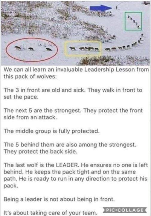 lecodeur01's tweet image. #leadership #FoodForThought