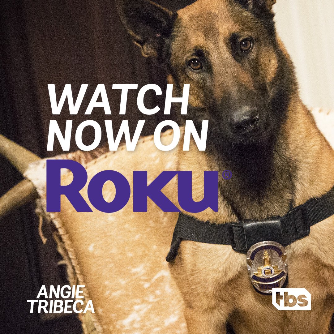 Hoffman is judging you for not already catching up on #AngieTribeca now on <a href="/RokuPlayer/">Roku</a>. Find it on the updated <a href="/TBSNetwork/">TBS Network</a> app.