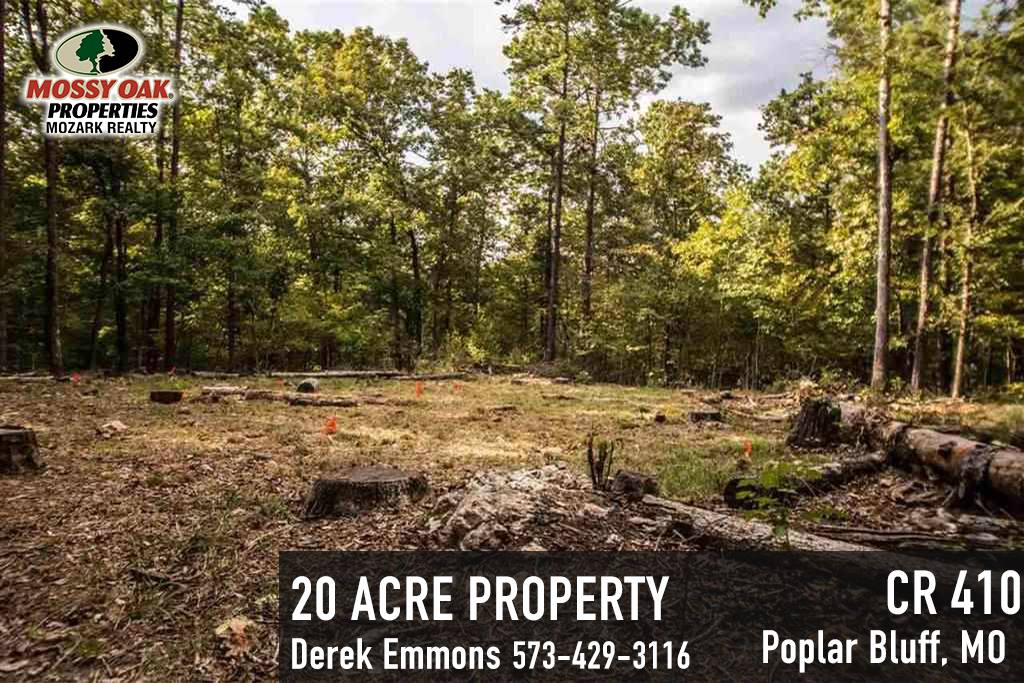 MOP Mozark Realty tweet media