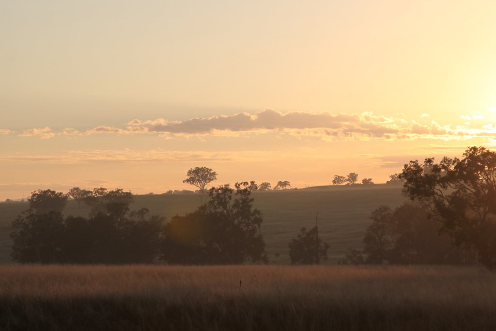 “’Big Skies’, too, feels full of threat, kindling bone-deep anxieties of white bodies pitted against an ancient landscape.”
. 
Swampland editor @2bottlethomson on <a href="/mere_women/">Mere Women</a>, the Australian gothic, and the ennui of endless rural plains, found in #swamplandmag 4.
