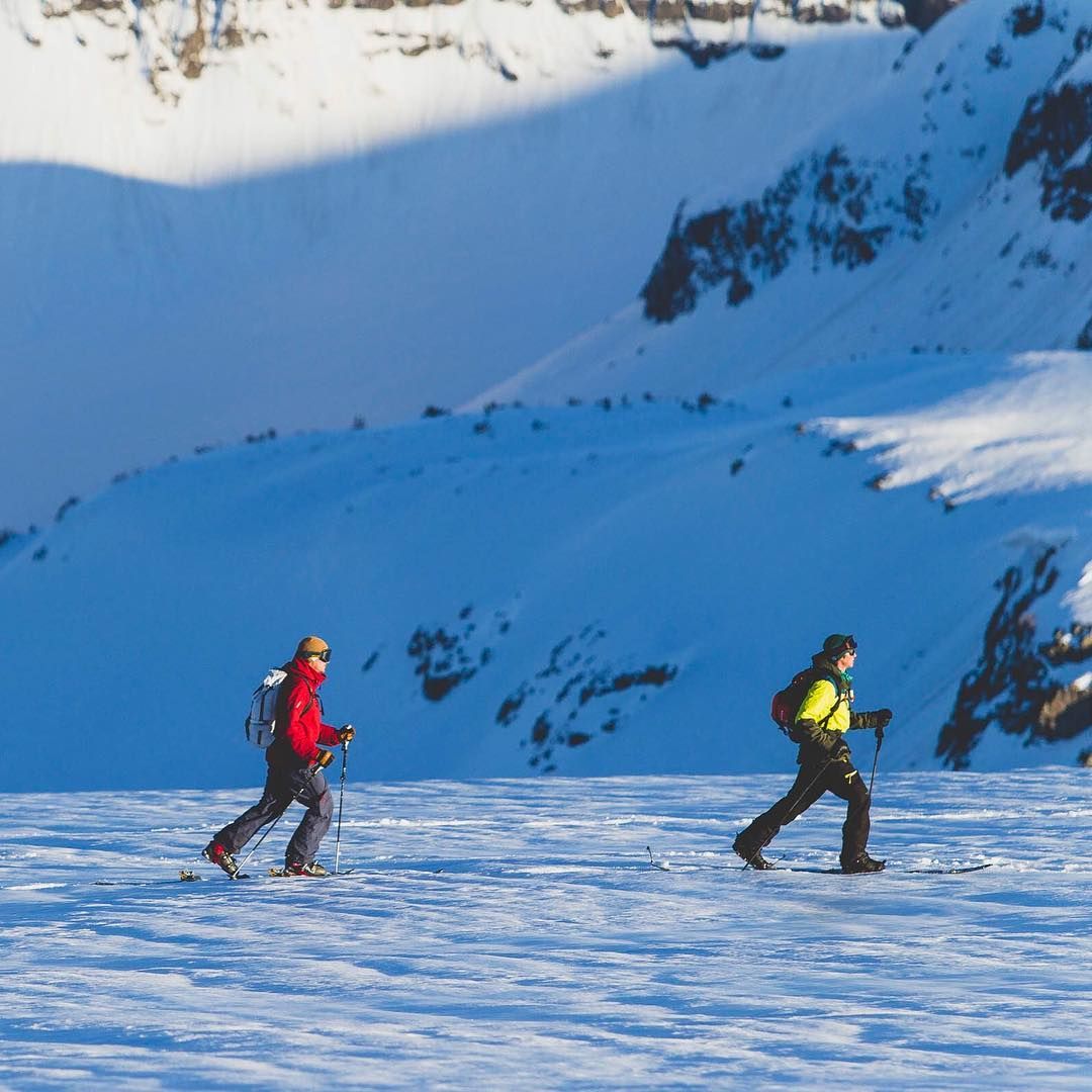 Rob Aseltine tweet media