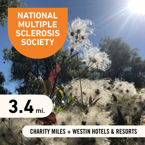 TeamM4MM's tweet photo. 3.4 @CharityMiles for @mssociety. Thanks to @Westin for sponsoring me. #MoveWithPurpose #MoveWell #LetsRise https://t.co/w1bag0ZVyA