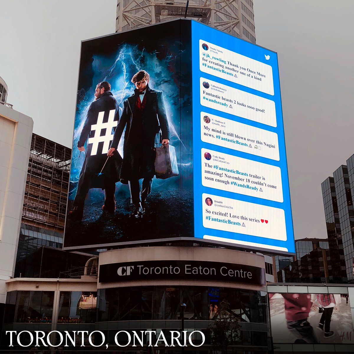 Fantastic Beasts tweet media