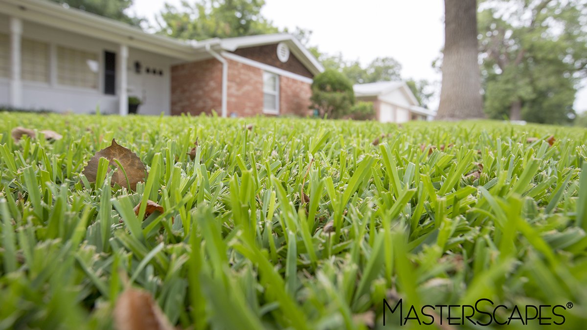TheMasterScapes's tweet photo. When is the most important time to fertilize your lawn? Share with us your answer. 

Will post answer in 24 hours.

#TriviaTuesday #Fertilization #Lawn https://t.co/qMmctZQBZ0