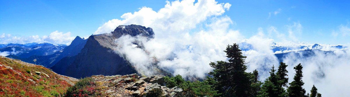 Min_Reyes's tweet photo. i couldn't believe my eyes... #chilliwack #mountcheam #cheampeaktrail #mountcheamtrail #hike #hiking #hikebc #vancouvertrails #outdoorvancouver #hikingculture #hikingadventures https://t.co/E0pBasTv3B