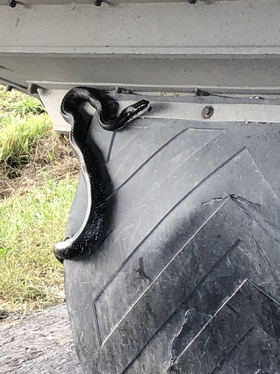LauxSeed's tweet photo. Sorry no hitchhikers allowed..... https://t.co/U6iSuLSRDw