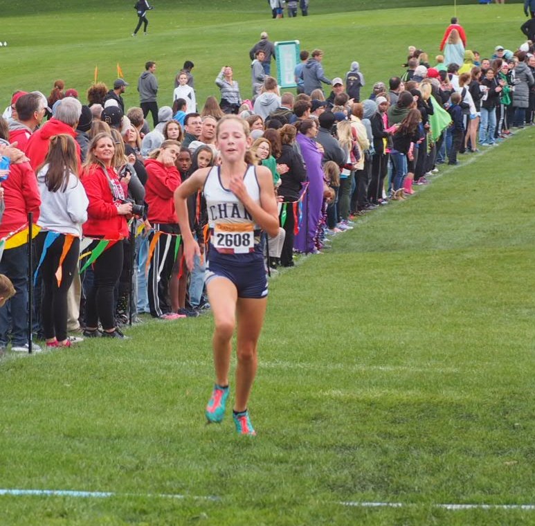 Big day for Chanhassen at today's Jefferson Jaguar Challenge in Bloomington. Nick Scheller wins boys race, Meghan Pierson is girls champ. Team champions are Chanhassen boys and Shakopee girls. #mshsl
Full results here: gopherstateevents.com/results/cc_rsl…