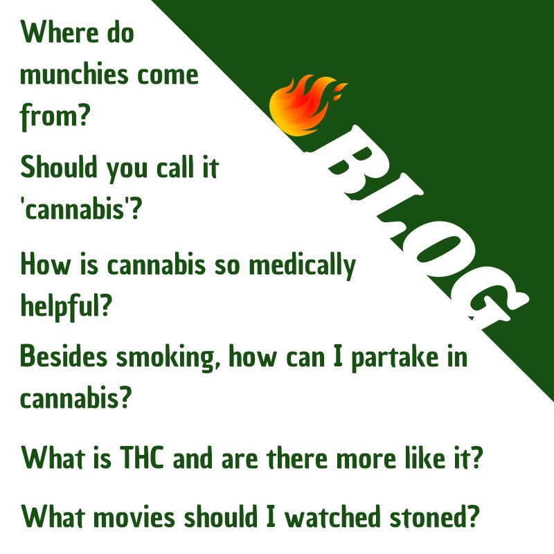 CrossTorrance's tweet photo. How's your cannabis knowledge? At Green Cross of Torrance we aim to educate our community about this awesome plant and our blog is part of that effort. Bone up your smarts on our blog, website's in our bio link!

#blog #cannabis101 #cannabisknowledge #educateyourself https://t.co/mcehUpOLvF