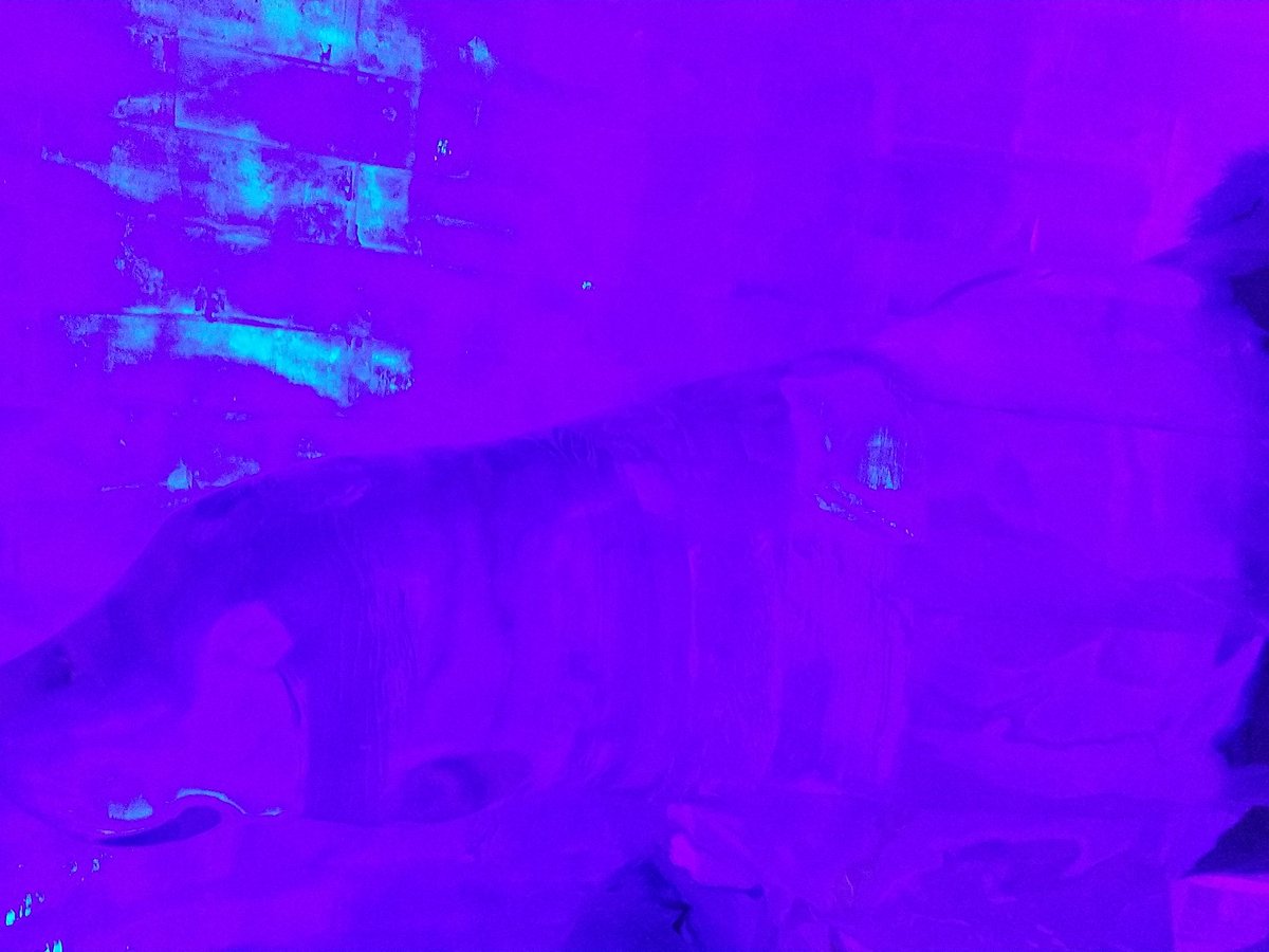 binaryjanitor's tweet image. If toy were on any other platform, it would unbearable. Good thing we have Azure. #azuredeveloper