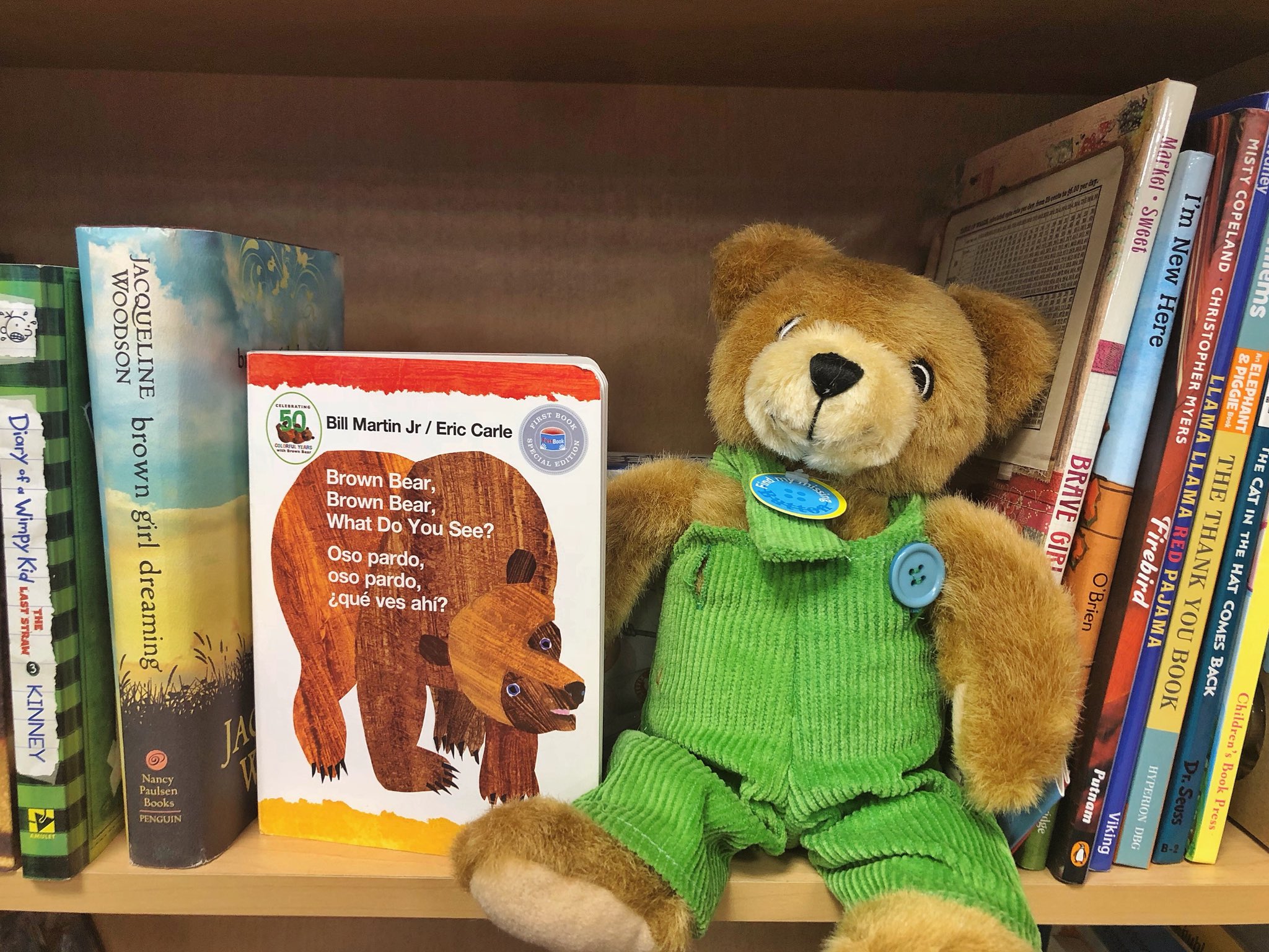 Is Brown Bear Brown Bear A Banned Book