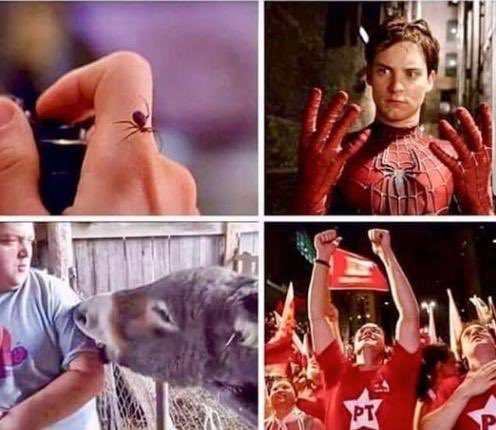 Roger Rocha Moreira (@roxmo) on Twitter photo 