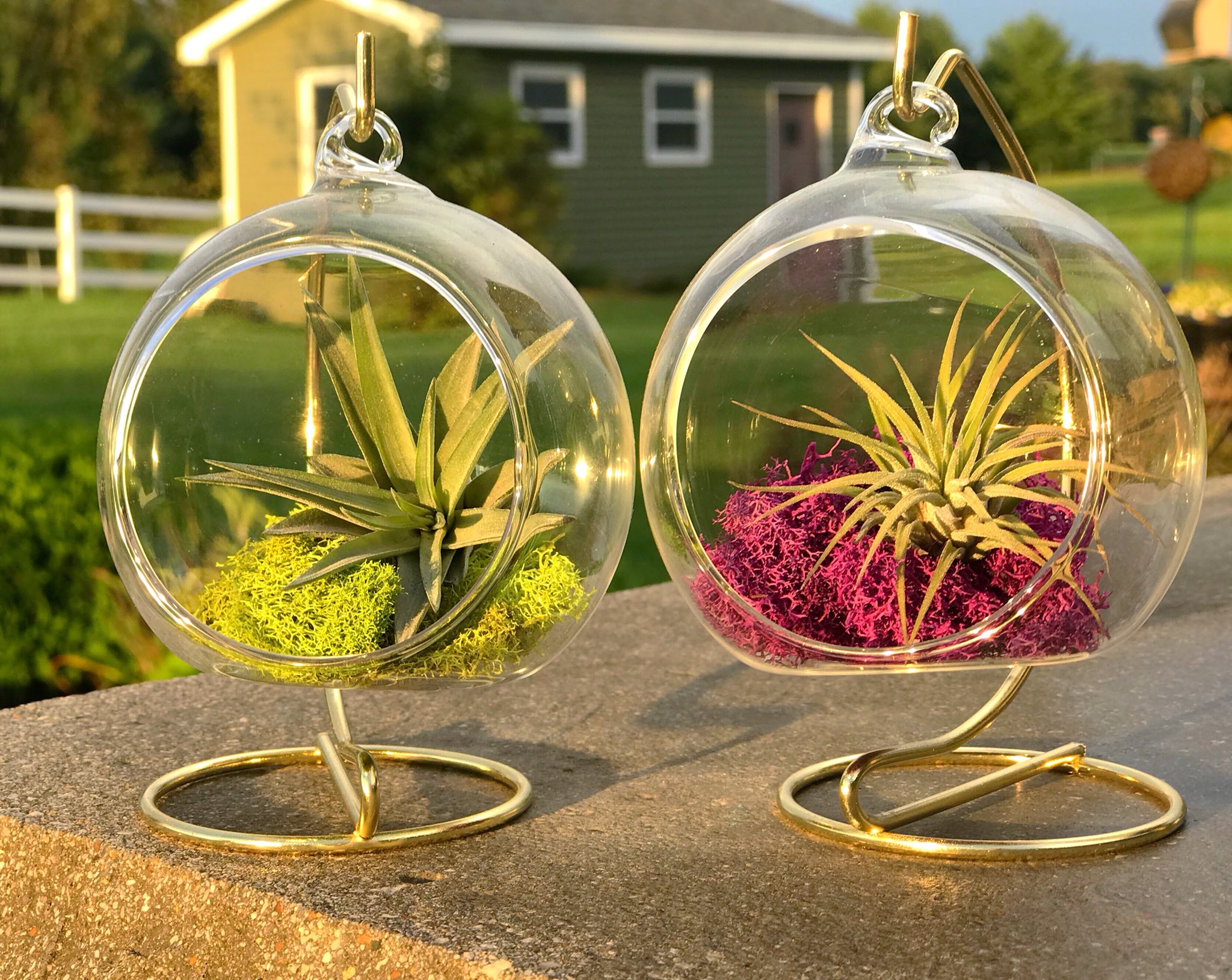 Petals by Peyton (PetalsbyP) / Twitter